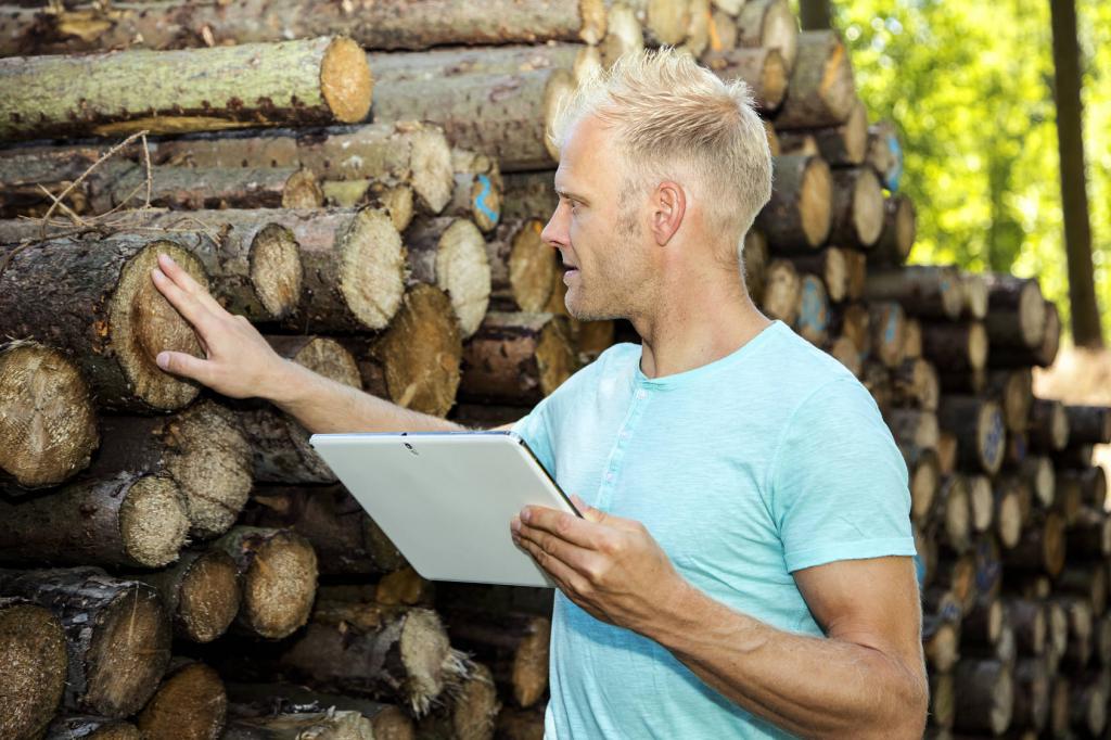 © Fotolia:   Edler von Rabenstein - 116606448 