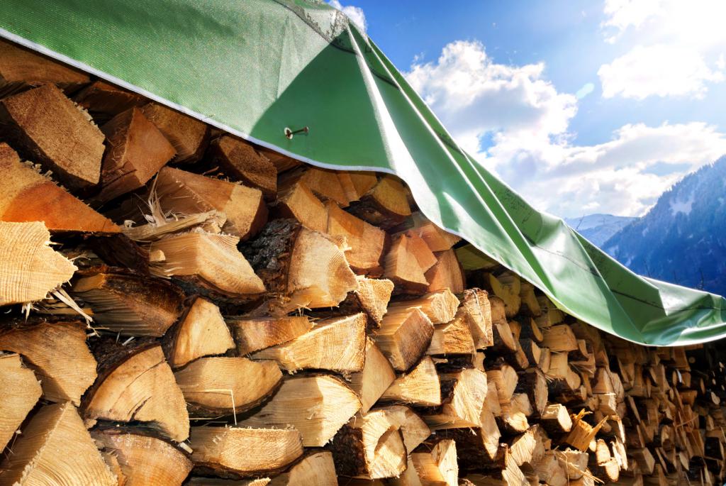 Obgleich nicht immer auf den ersten Blick erkennbar, gibt es Unterschiede zwischen harten und weichen Holzarten!
© Fotolia: Petair - 82208030