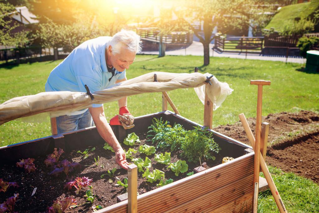 Hochbeet Gemüse Gartenbeet Gemüsebeet Pflanzkasten mehrere Auswahl 